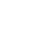 Live Developers